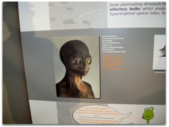 Representation of Star Person in Langedoc Museum